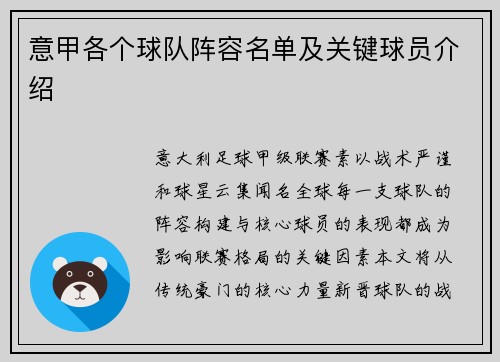 意甲各个球队阵容名单及关键球员介绍